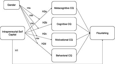 Integrating intrapreneurial self-capital, cultural intelligence, and gender in Chinese international education: pathways to flourishing